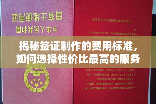 龙城揭秘签证制作的费用标准，如何选择性价比最高的服务？